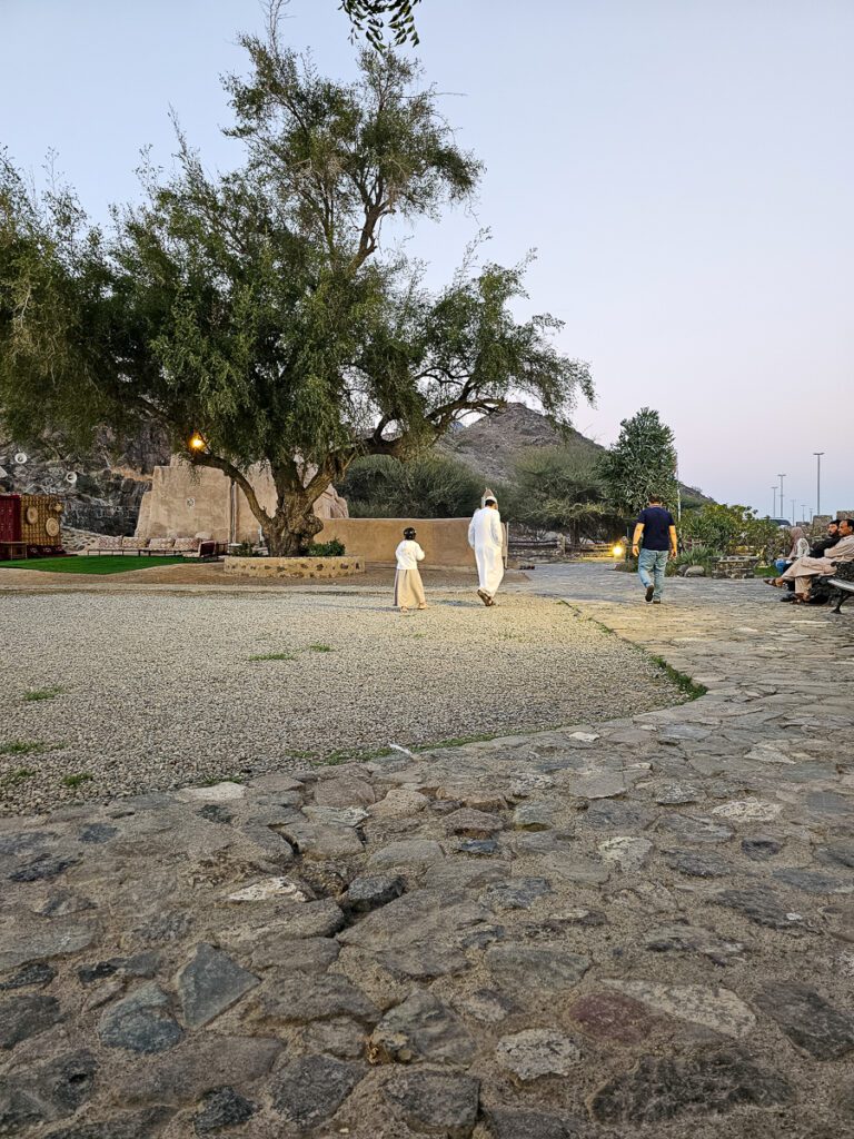 2025 UAE, QATAR & OMAN