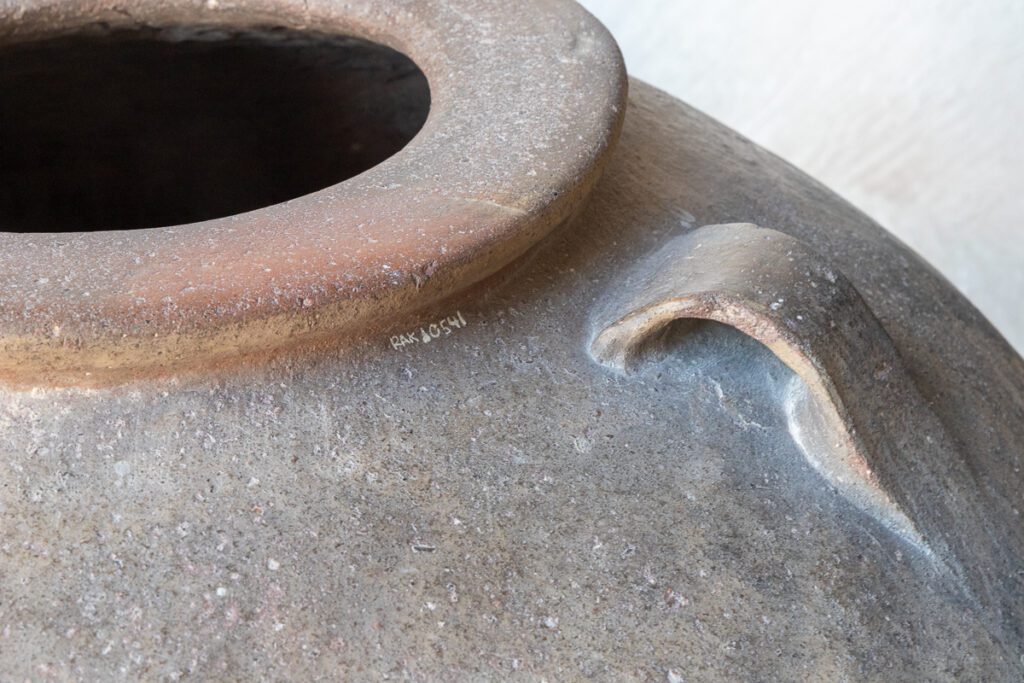 2025 UAE, QATAR & OMAN