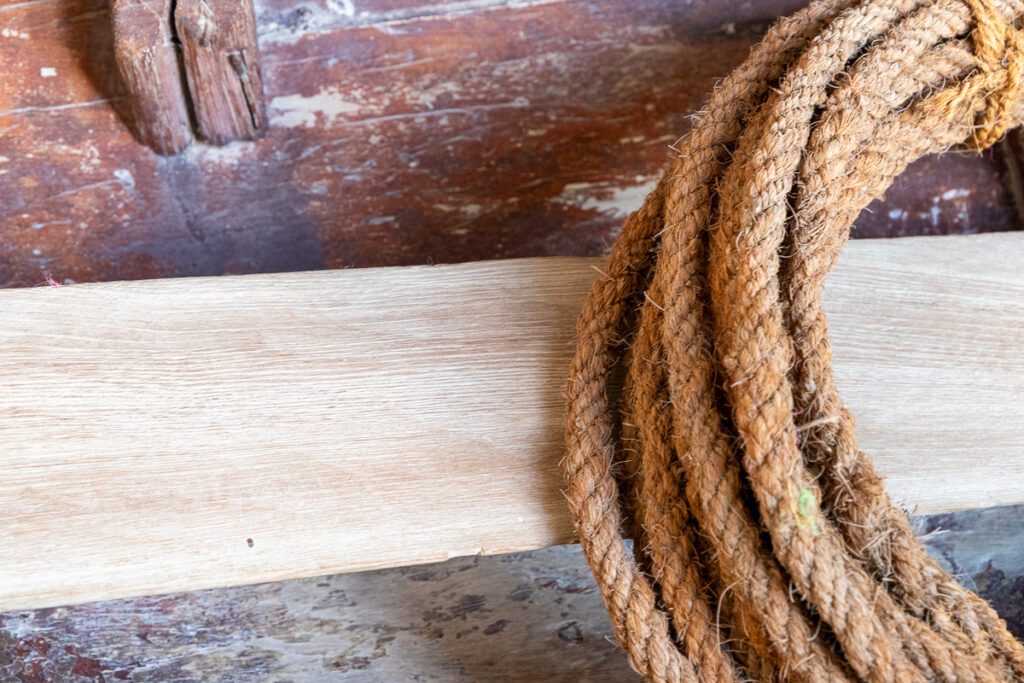 2025 UAE, QATAR & OMAN