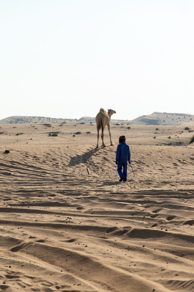 2025 UAE, QATAR & OMAN