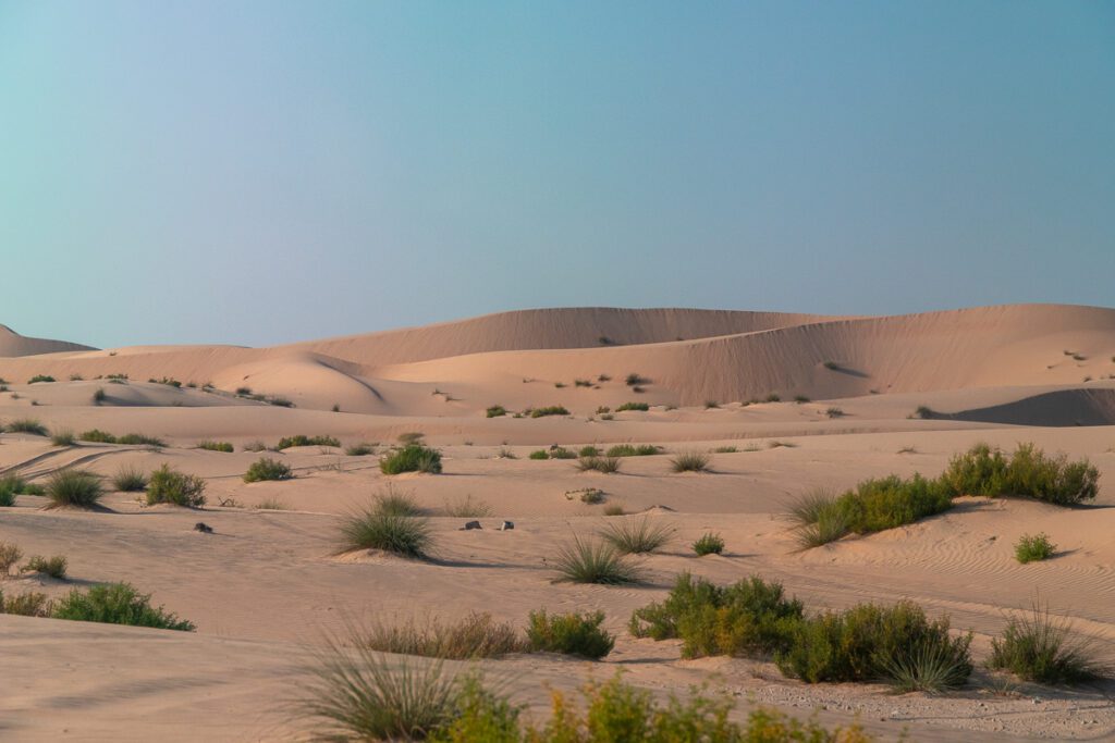 2025 UAE, QATAR & OMAN