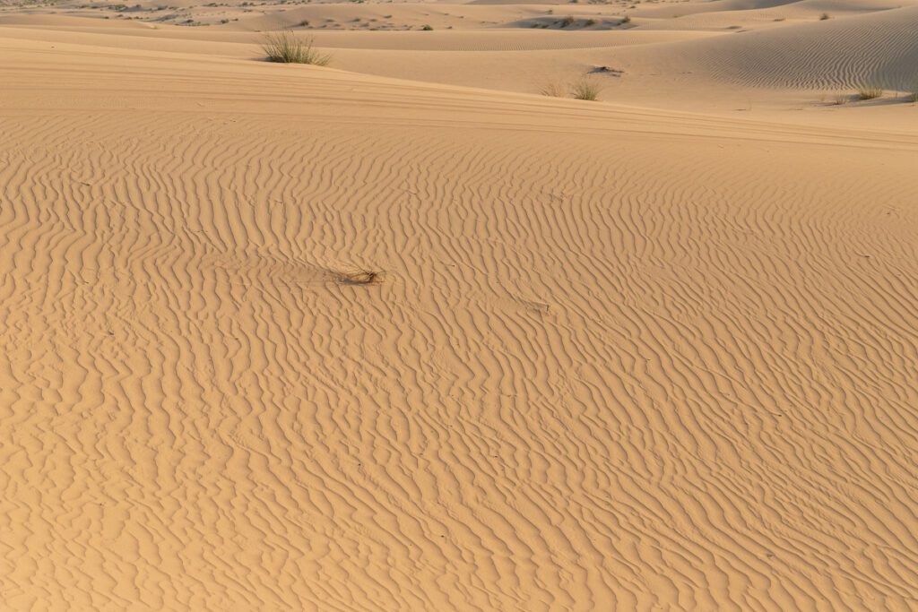 2025 UAE, QATAR & OMAN