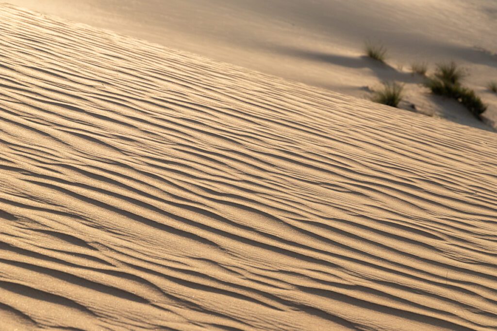 2025 UAE, QATAR & OMAN