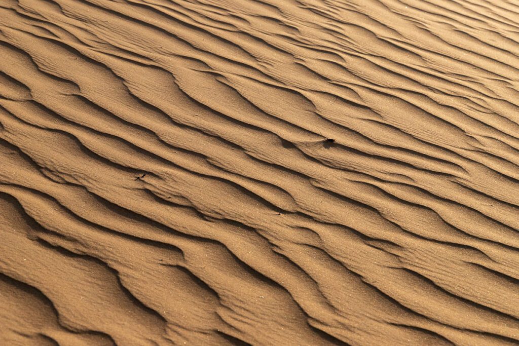 2025 UAE, QATAR & OMAN