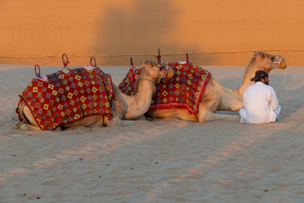 2025 UAE, QATAR & OMAN