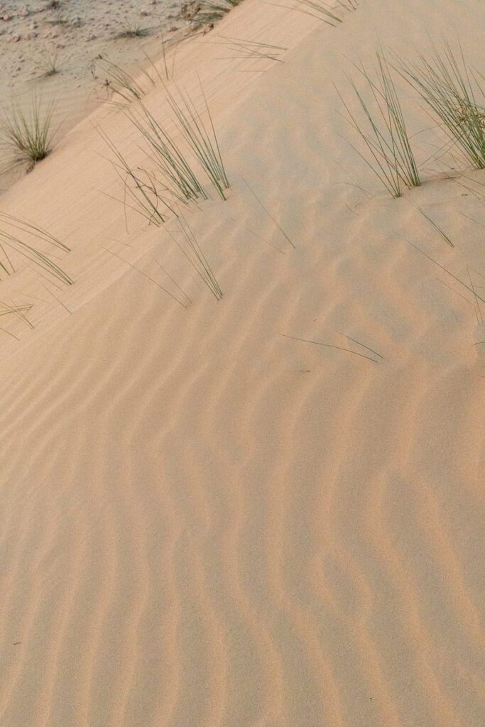 2025 UAE, QATAR & OMAN