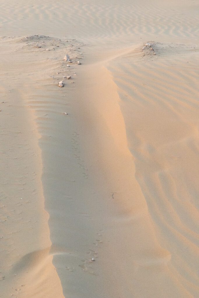 2025 UAE, QATAR & OMAN