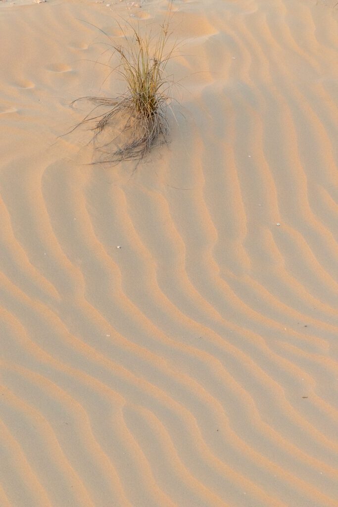 2025 UAE, QATAR & OMAN