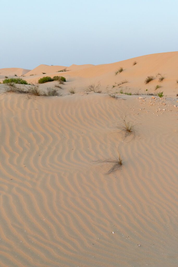 2025 UAE, QATAR & OMAN