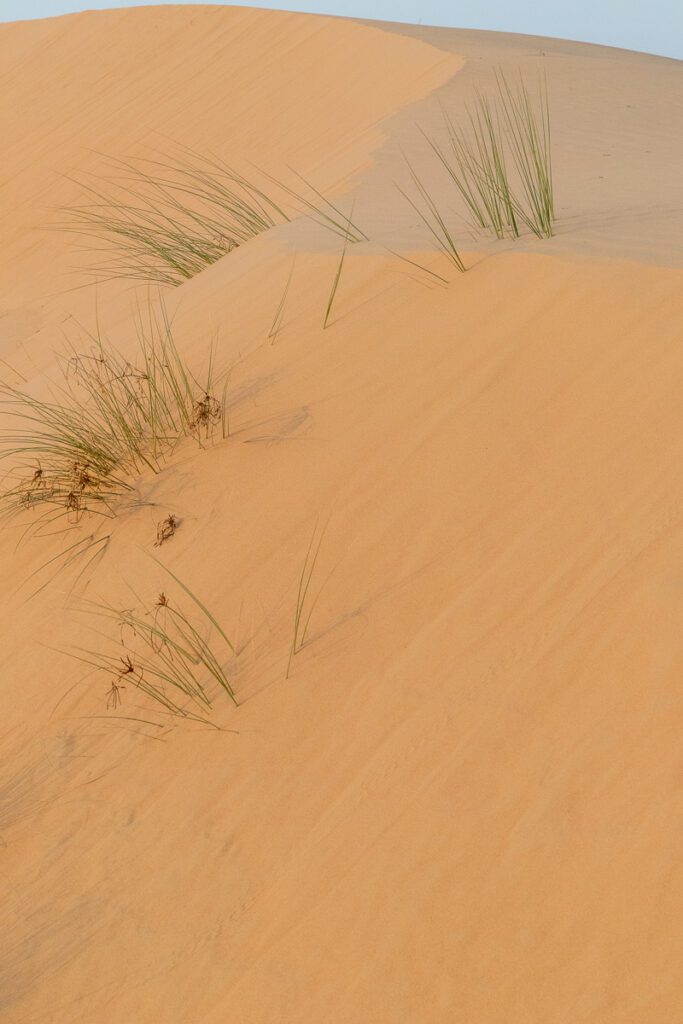 2025 UAE, QATAR & OMAN